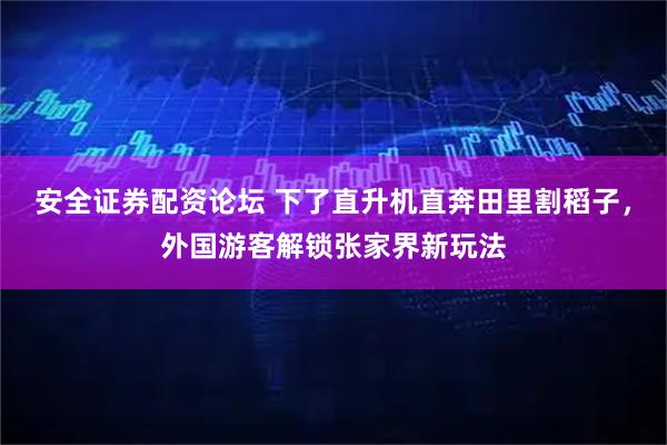 安全证券配资论坛 下了直升机直奔田里割稻子，外国游客解锁张家界新玩法